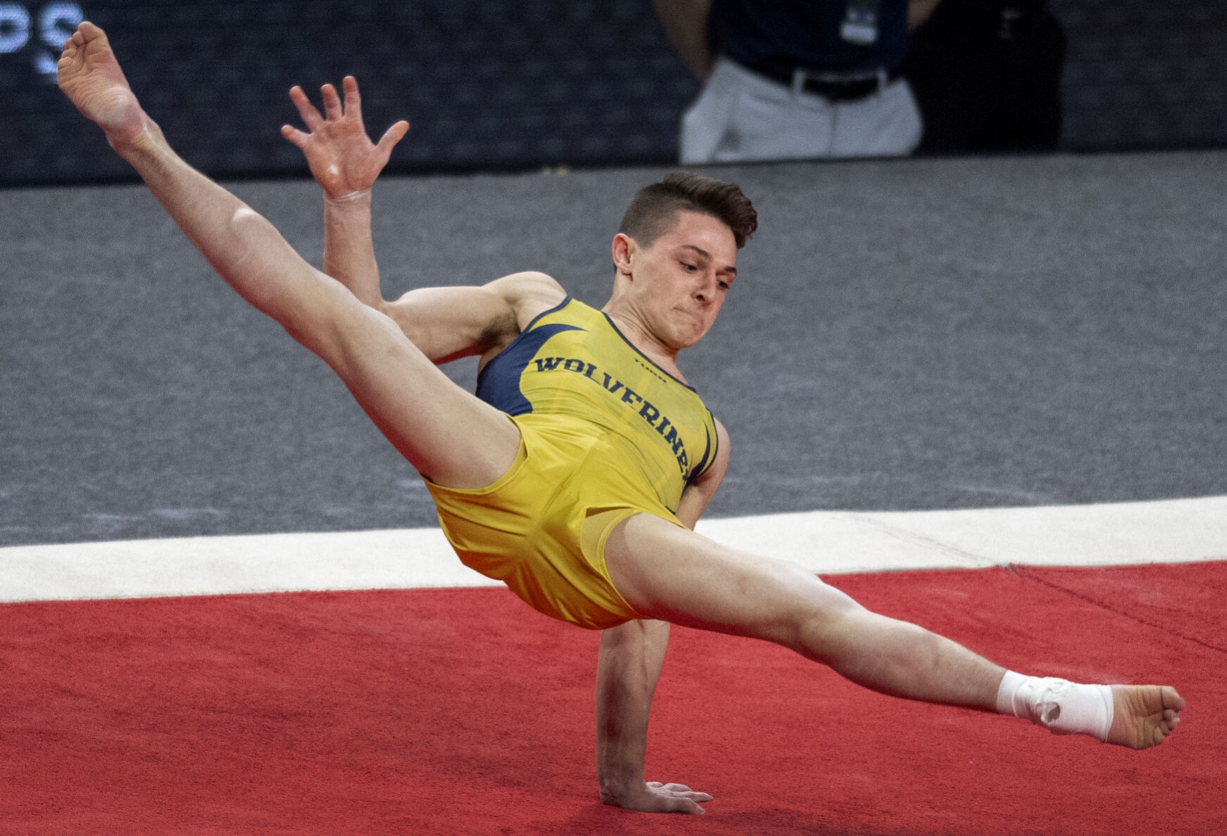 Big Ten men's gymnastics championships, 4.3